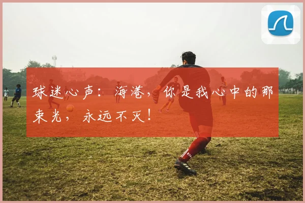 球迷心声：海港，你是我心中的那束光，永远不灭！