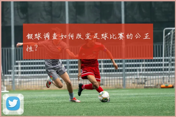 假球调查如何改变足球比赛的公正性？