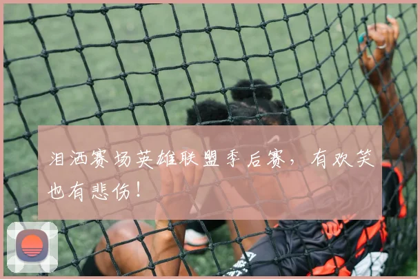 泪洒赛场英雄联盟季后赛,有欢笑也有悲伤!
