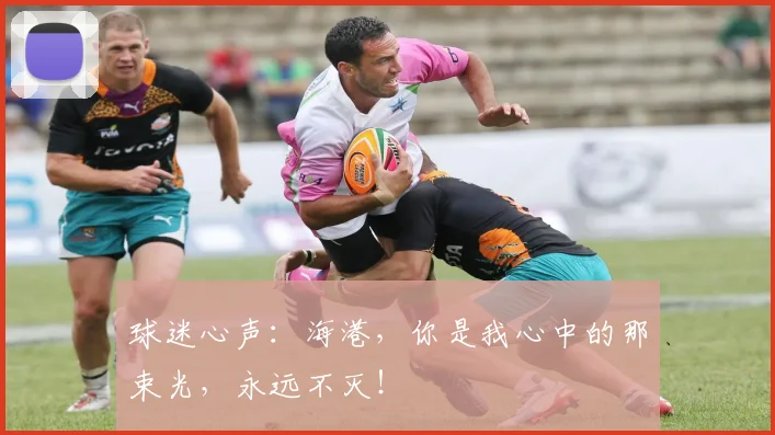 球迷心声：海港，你是我心中的那束光，永远不灭！