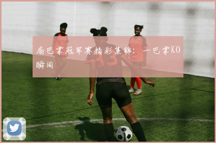 扇巴掌冠军赛精彩集锦：一巴掌KO瞬间