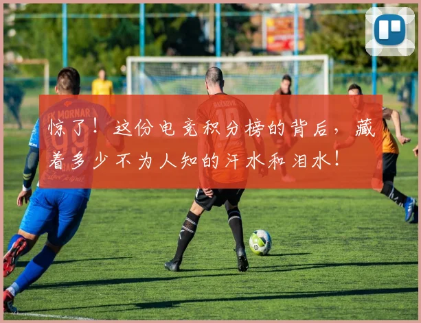 惊了!这份电竞积分榜的背后,藏着多少不为人知的汗水和泪水!