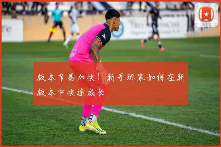 版本节奏加快!新手玩家如何在新版本中快速成长