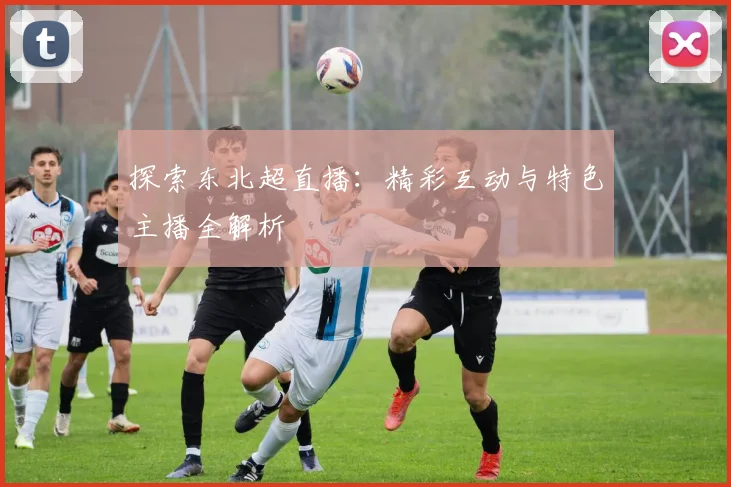 探索东北超直播：精彩互动与特色主播全解析