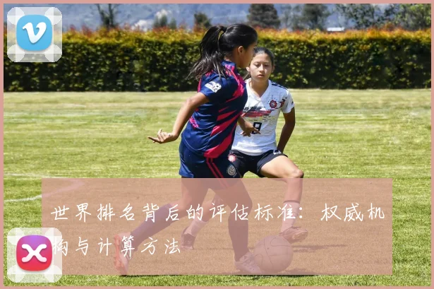 世界排名背后的评估标准:权威机构与计算方法